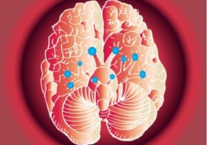 İnanılmaz Kranial Sinirler ve Çalışma Şekilleri