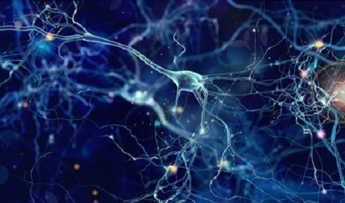 Birbirleri ile elektriksel mesajlar paylaşan nöronlar.