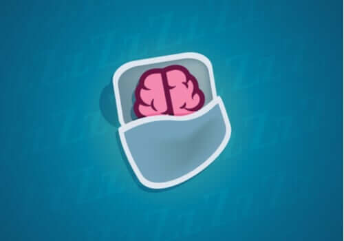 Uyku Sırasında Nöronlarımıza Ne Olur?