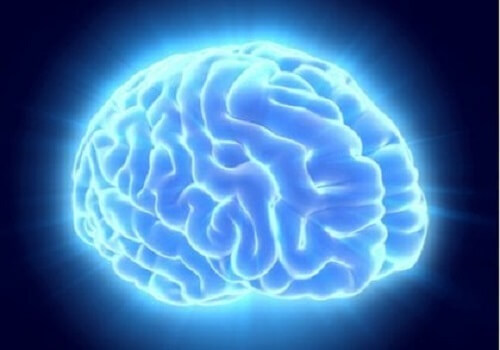 Mavi bir ışıkla aydınlatılmış bir beyin.