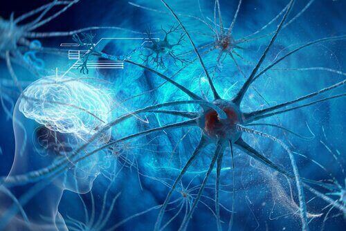 beyin ve nöronlar görseli