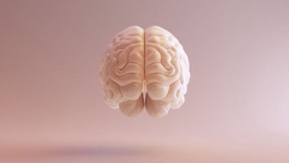 Sol beyin yaralanmalarının bazı çok olumsuz sonuçları olabilir