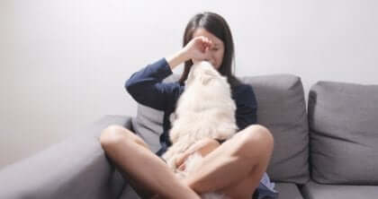 Köpekler hissettiklerinizi yargılamazlar.