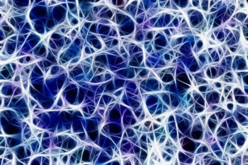 beyin plastisitesi: sinapslar