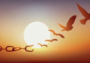 Kefalet İle Serbest Bırakılmanın Amacı Nedir?