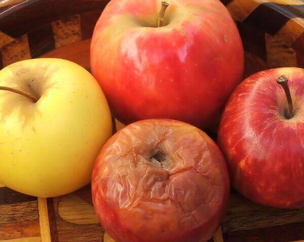 Çürük elma ile temas eden diğer elmalar da çürümeye başlar, iş yerindeki çürük elma da böyledir.
