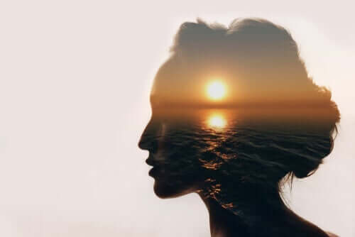 Sol profilini gösteren kadın silüeti içinde gün batımı manzarası