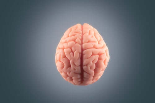 Plastik bir beyin.