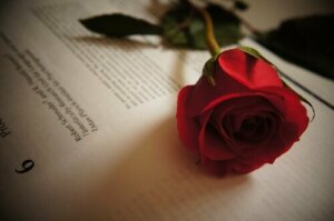 Tirso de Molina - Beş Aşk Alıntısı