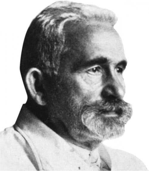 eugen bleuler ve şizofreni