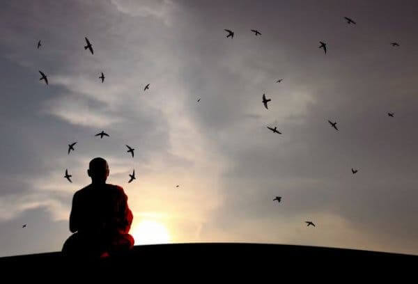 meditasyon yapan adamın üstünde uçan kuşlar