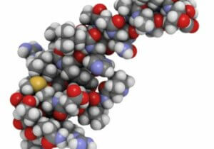Oreksinlerin Uyku ve Yemek Yeme Üzerindeki Rolü