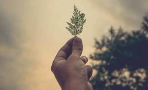 Karantina Sırasında Yardım İçin Yapabilecekleriniz