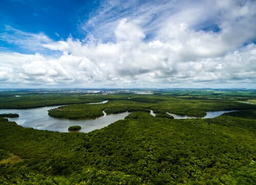 Amazon nehri