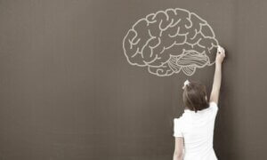 WISC Testi: Psikologlar Bu Testi Neden Kullanıyor?