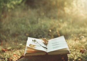 Şiirin Büyüsü ve Acıyı Dindirme Becerisi