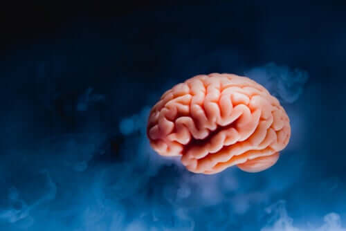 İnsan beyni içerisinde ne kadar yağ var?
