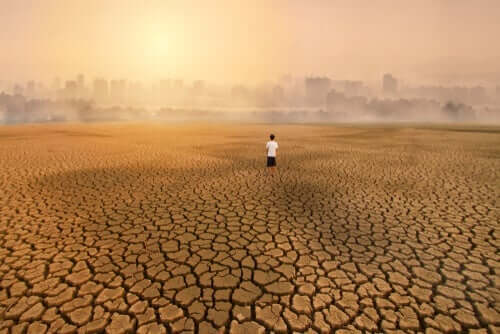 Eko-Anksiyete: İklim Değişikliğinin Bir Sonucu