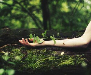 Kendime İnanırsam, Büyümeyi Asla Bırakmam