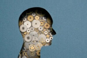 Adli Nöropsikoloji: Tanım, Amaç ve Uygulamalar