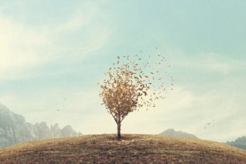 Bir tarlanın ortasında tek başına duran bir ağaç.