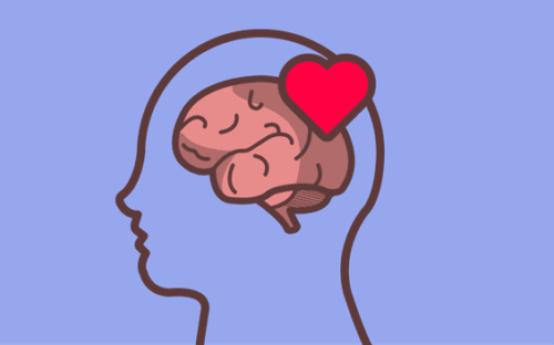 Bir insan kafasının içerisine yerleştirilmiş beyin ve kalp.