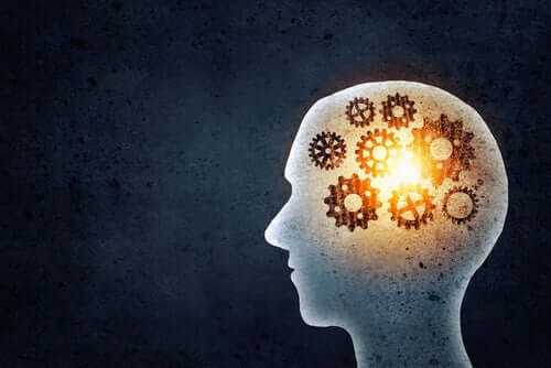 İnsan beyni içerisindeki mekanizma