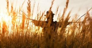 Problem Çözmek için Straw Man (Korkuluk) Kullanın