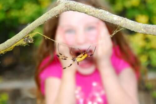 sarı örümcek ve ona bakan kız çocuğu
