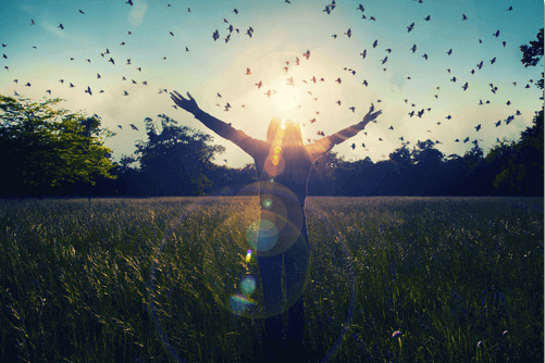 Anthony Mello mutluluk