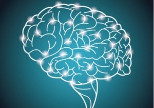 Dünyanın En Büyük Zeka Deneyi