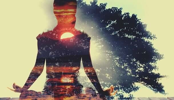 evde yoga yapan kadın