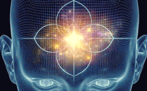 Hipofiz ve Epifiz Bezleri: İşlevleri ve Özellikleri