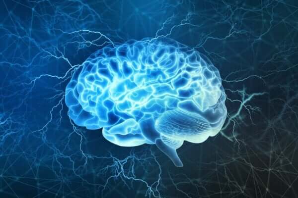 Merak duygusunun nörolojik altyapısı nedir?