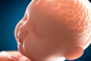 Pakigiri: "Düz" Beyin Hastalığı