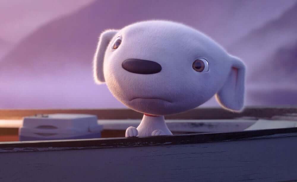 küçük köpek yavrusu