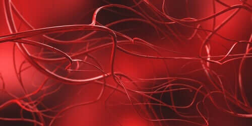 insan damarlarında kan aktığının keşfi