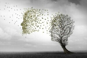 Alzheimer Hastalığının Çeşitli Evreleri