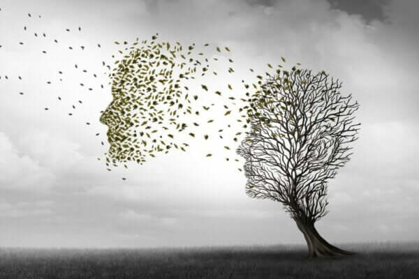 Alzheimer Hastalığının Çeşitli Evreleri