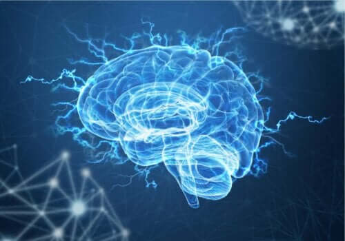 Beyindeki nörotransmiterler neler?