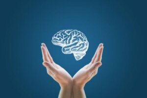 Laboratuvarda Oluşturulan Mini Beyinler: Bu İnsan Klonlamanın Başlangıcı Mı?