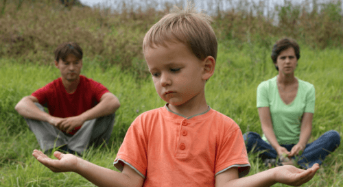 Ortak velayet seçenekleri neler?