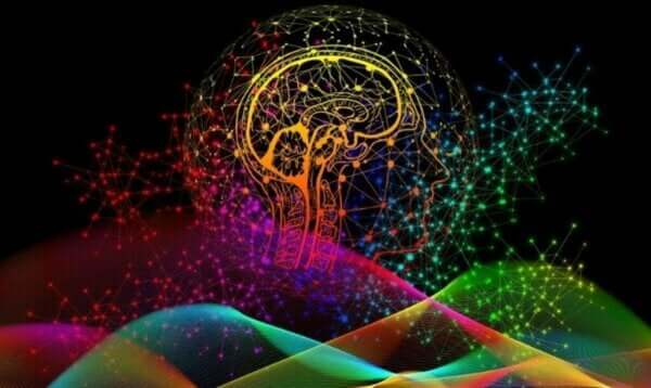 Beyninizin Eşsiz Nörolojik İmzaları ve Bunların Önemi
