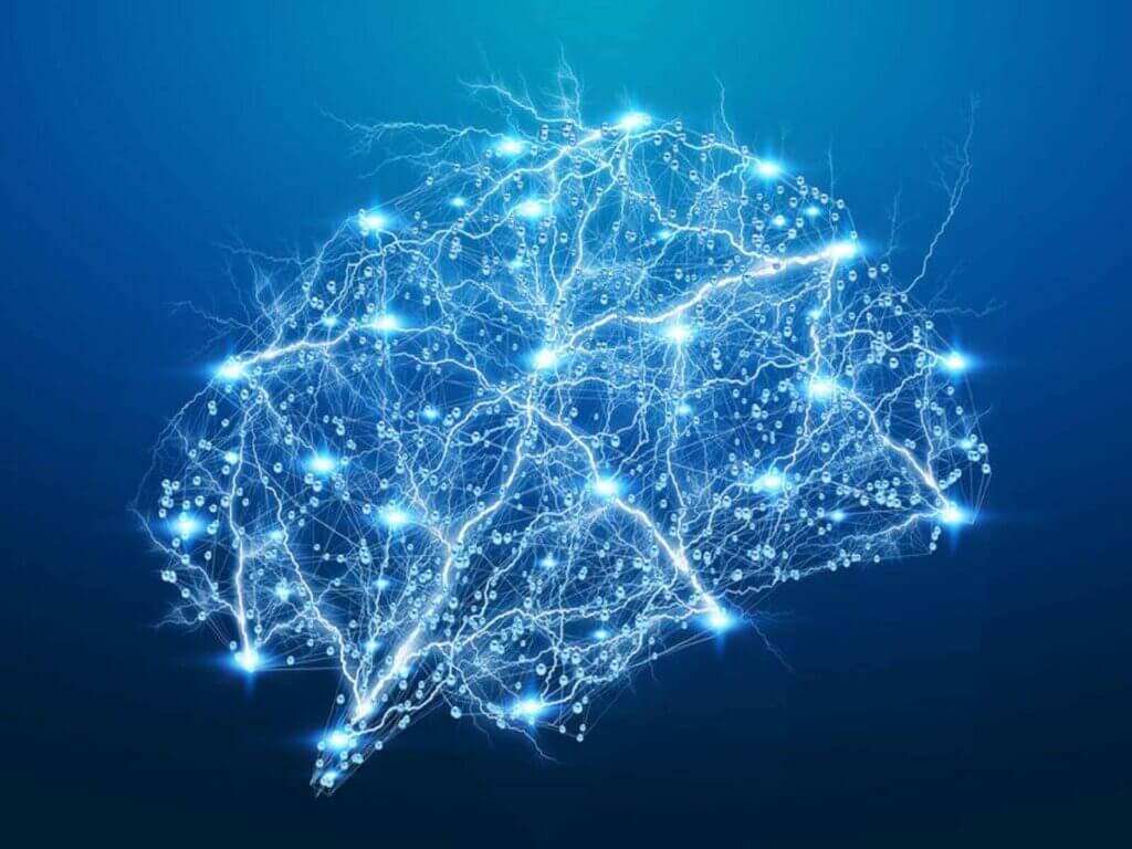 Beyninizin eşsiz nörolojik imzaları ve nöral parmak izleri.