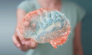 Endokannabinoidler, Beyninizin Uyuşturucusu