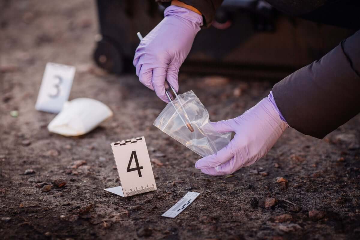 delil toplayan eller