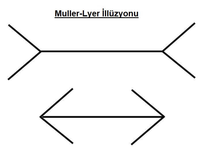 çizgi uzunluğu illüzyonu