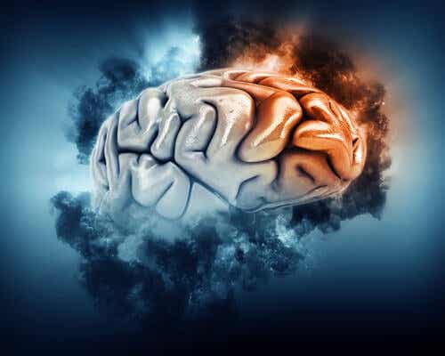 soğuk ve sıcak beyin