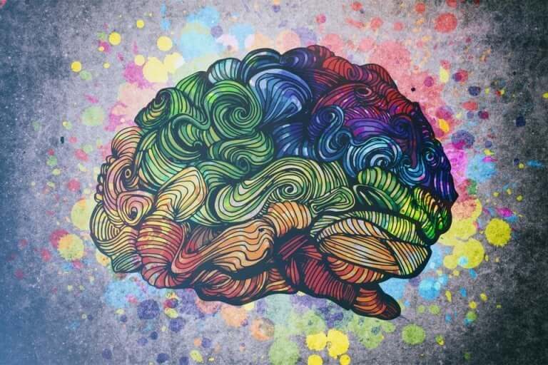 rengarenk bir beyin