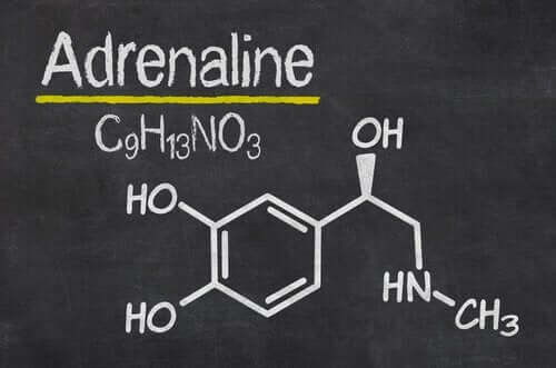adrenalin formülü